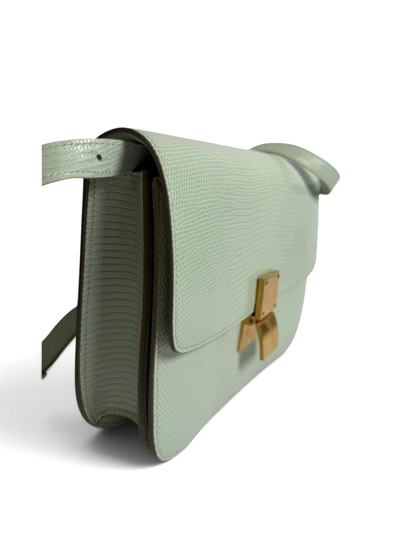 Celine Box Bag Blue Lizard