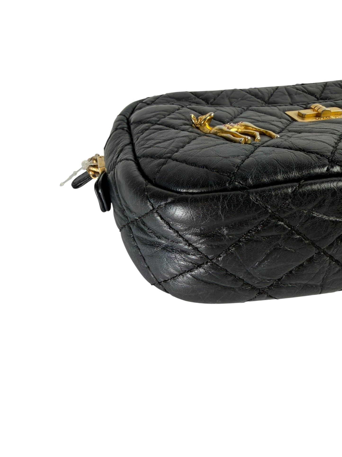Chanel Lucky Charms Aged Calfskin Camera Bag Fall T7398