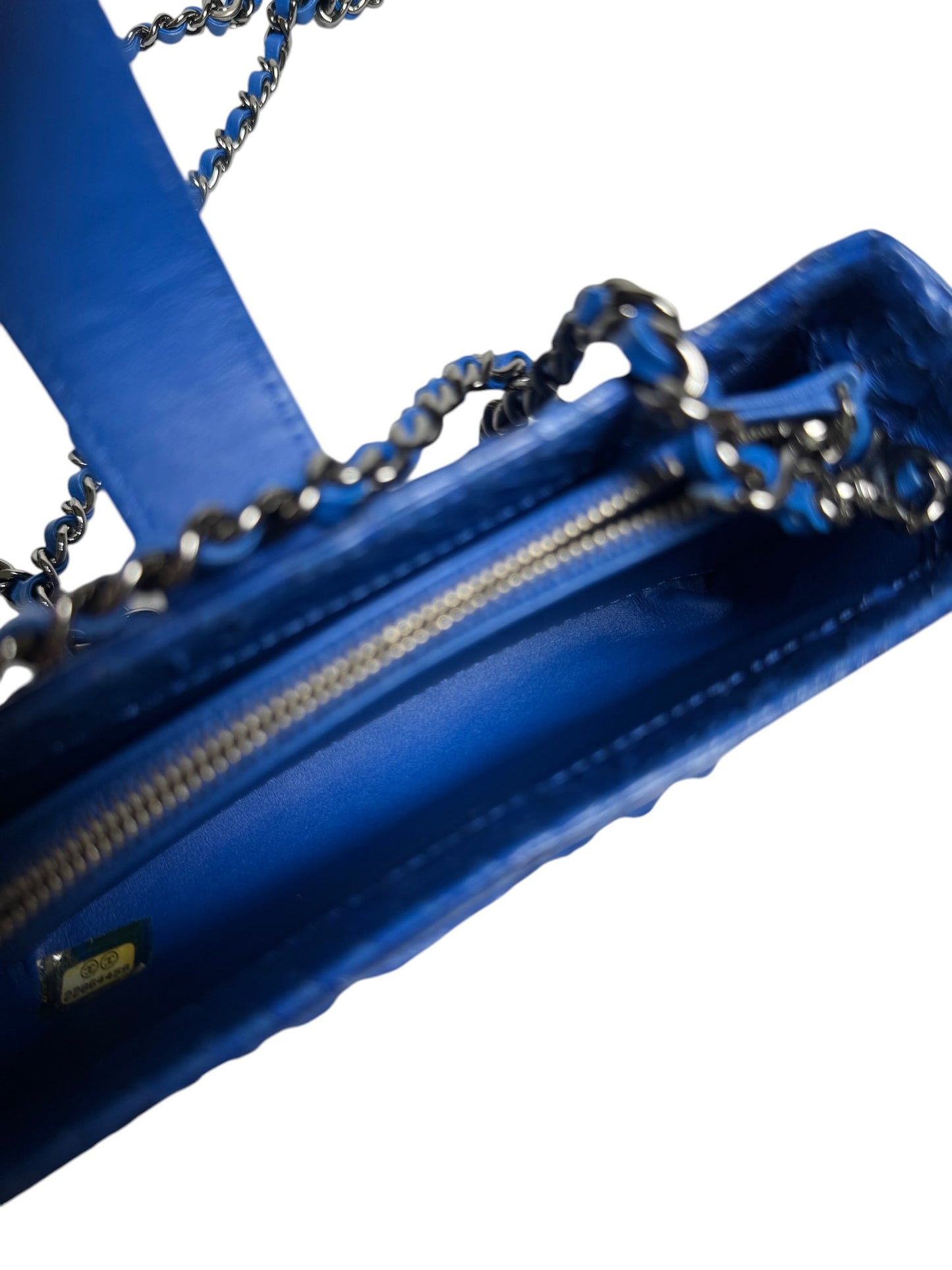 Chanel Blue Python Mini Crossbody