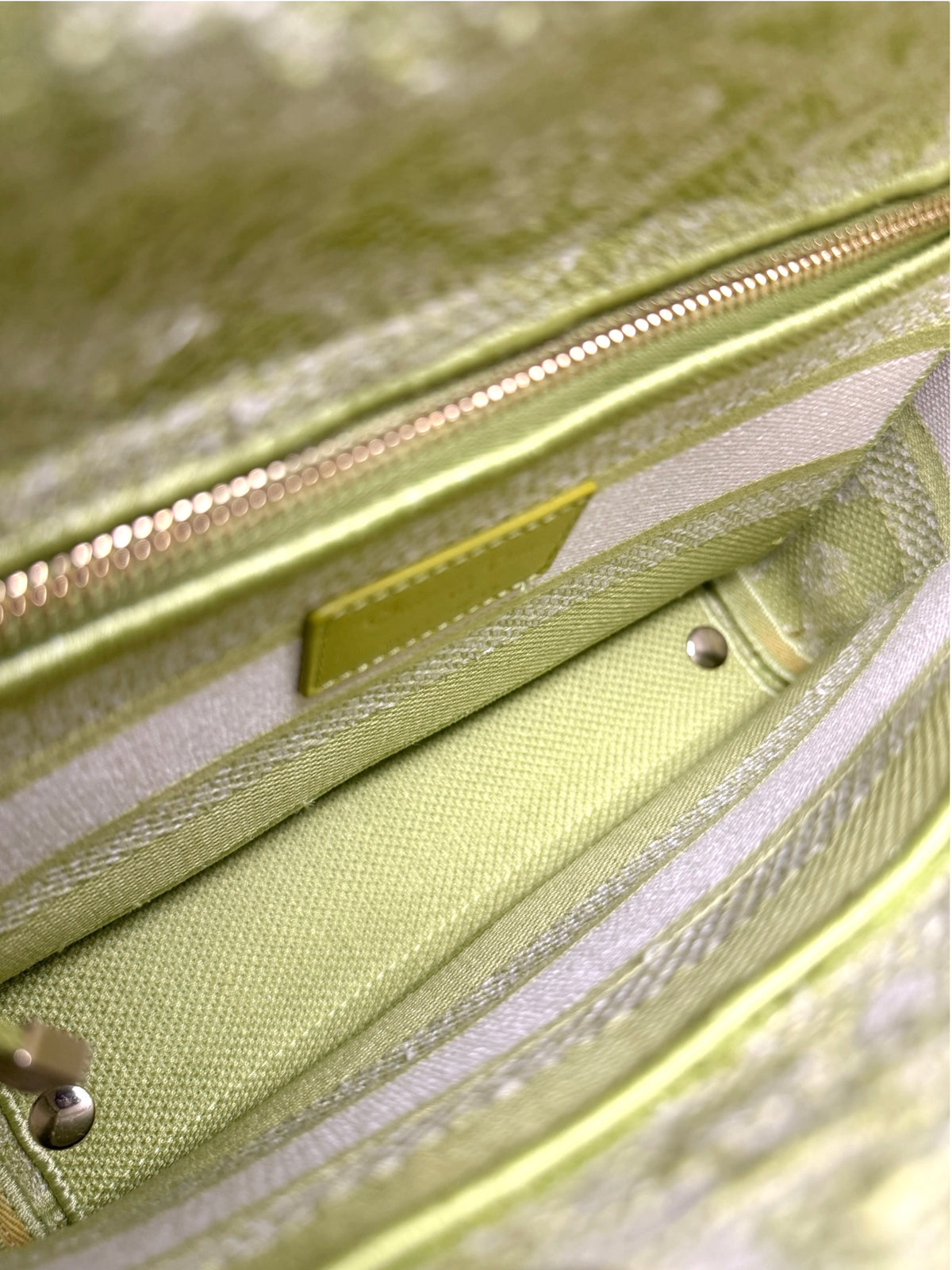 Dior Canvas Lady D-Lite Green Medium T9070