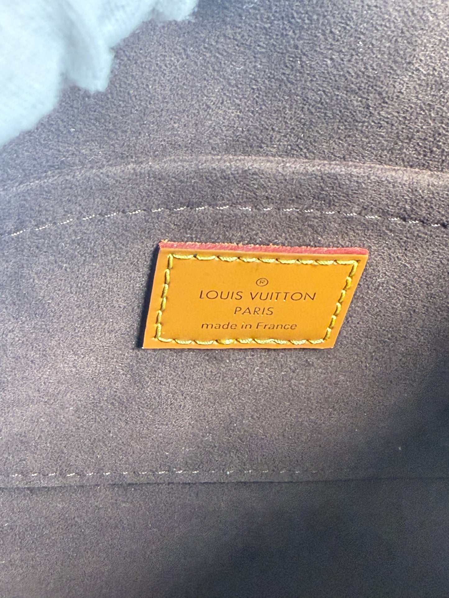 Louis Vuitton Epi Leather Cluny Top Handle Bag Brown T8624