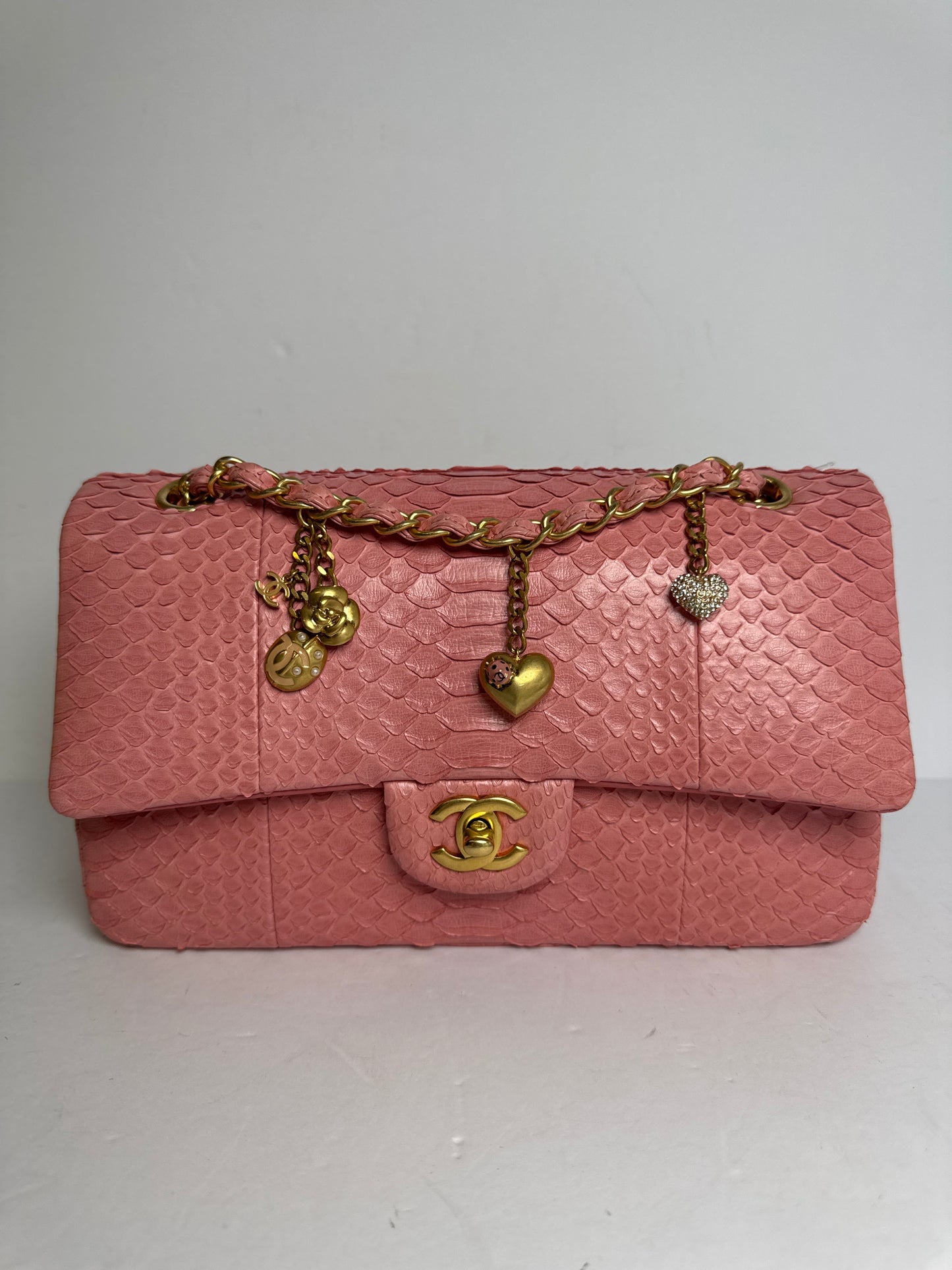Chanel Python Ladybug Flap