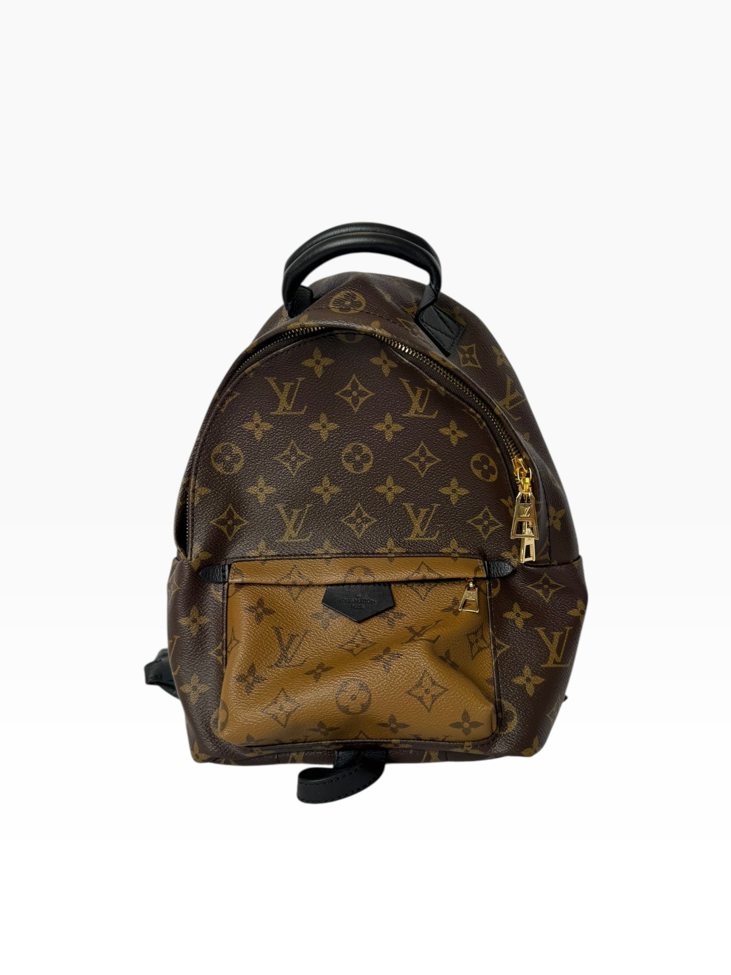 Louis Vuitton Backpack