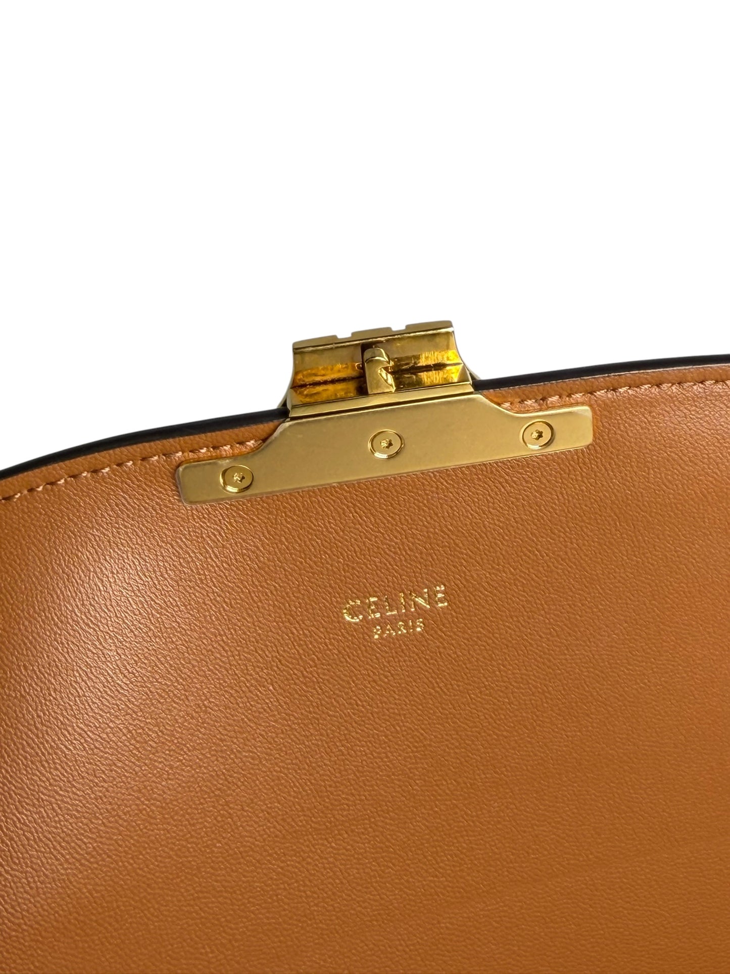 Celine Classique Triomphe Canvas Crossbody T6857