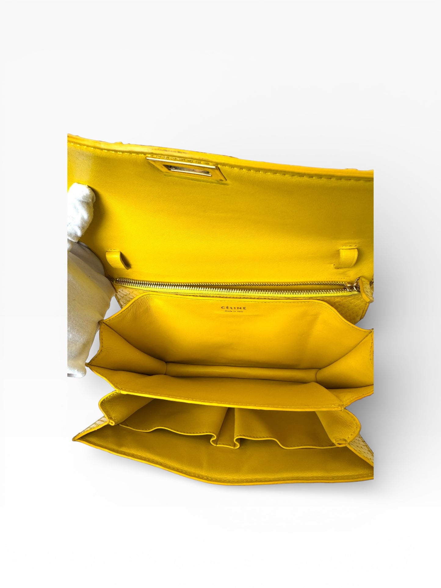 Celine Yellow Python Box Bag