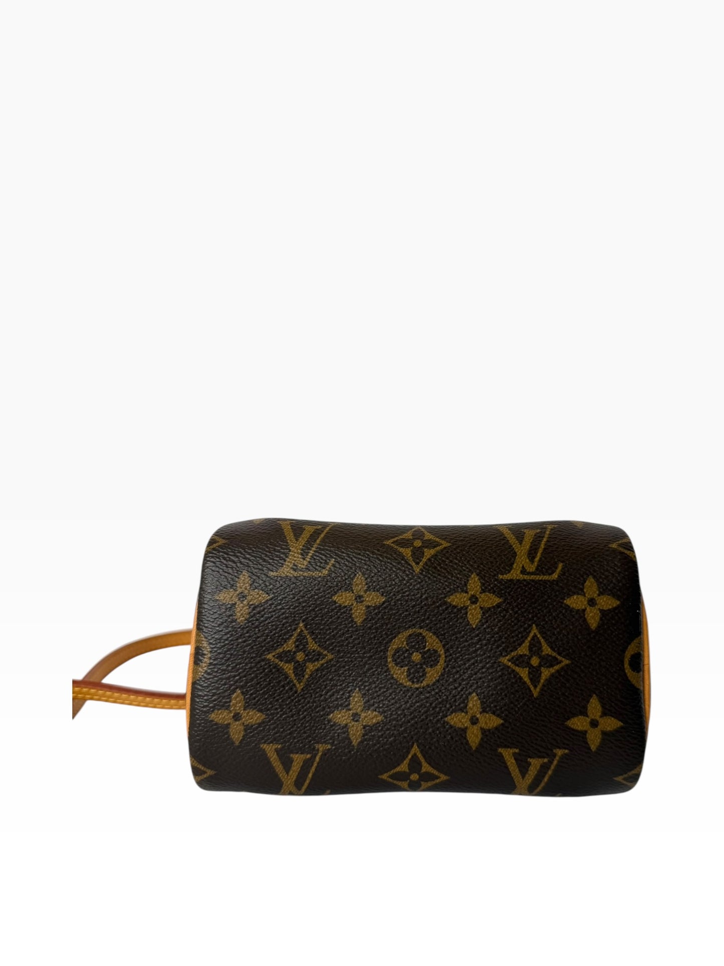 Louis Vuitton Nano Speedy