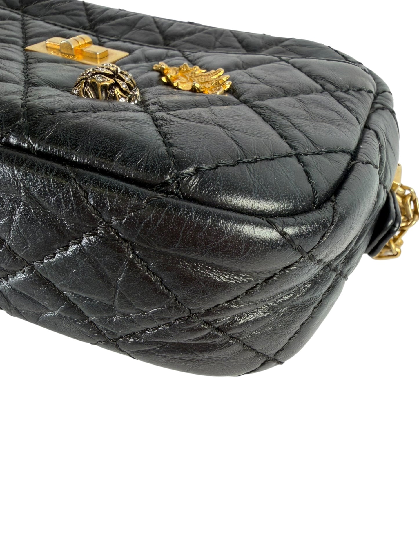 Chanel Lucky Charms Aged Calfskin Camera Bag Fall T7398
