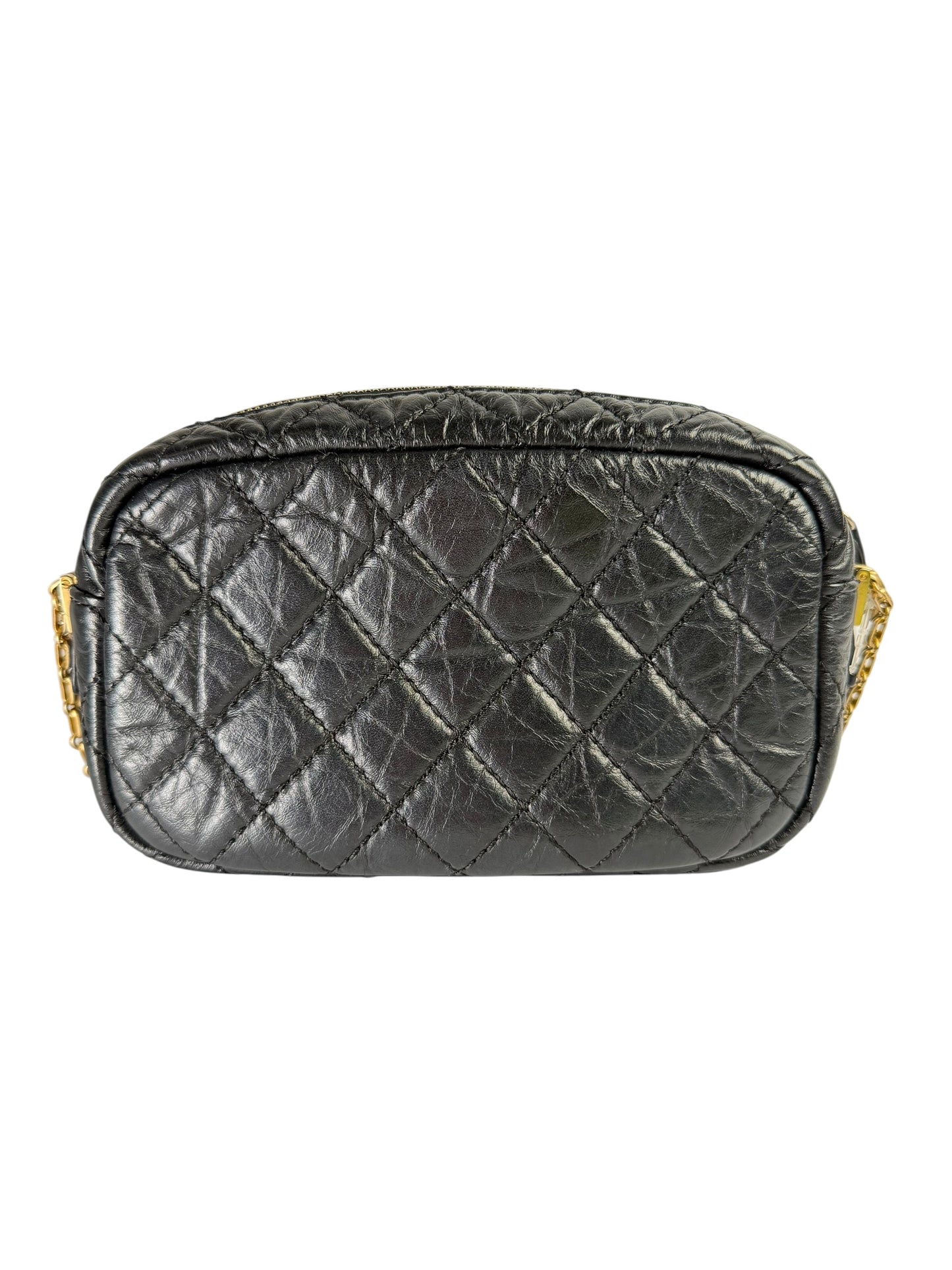 Chanel Lucky Charms Aged Calfskin Camera Bag Fall T7398