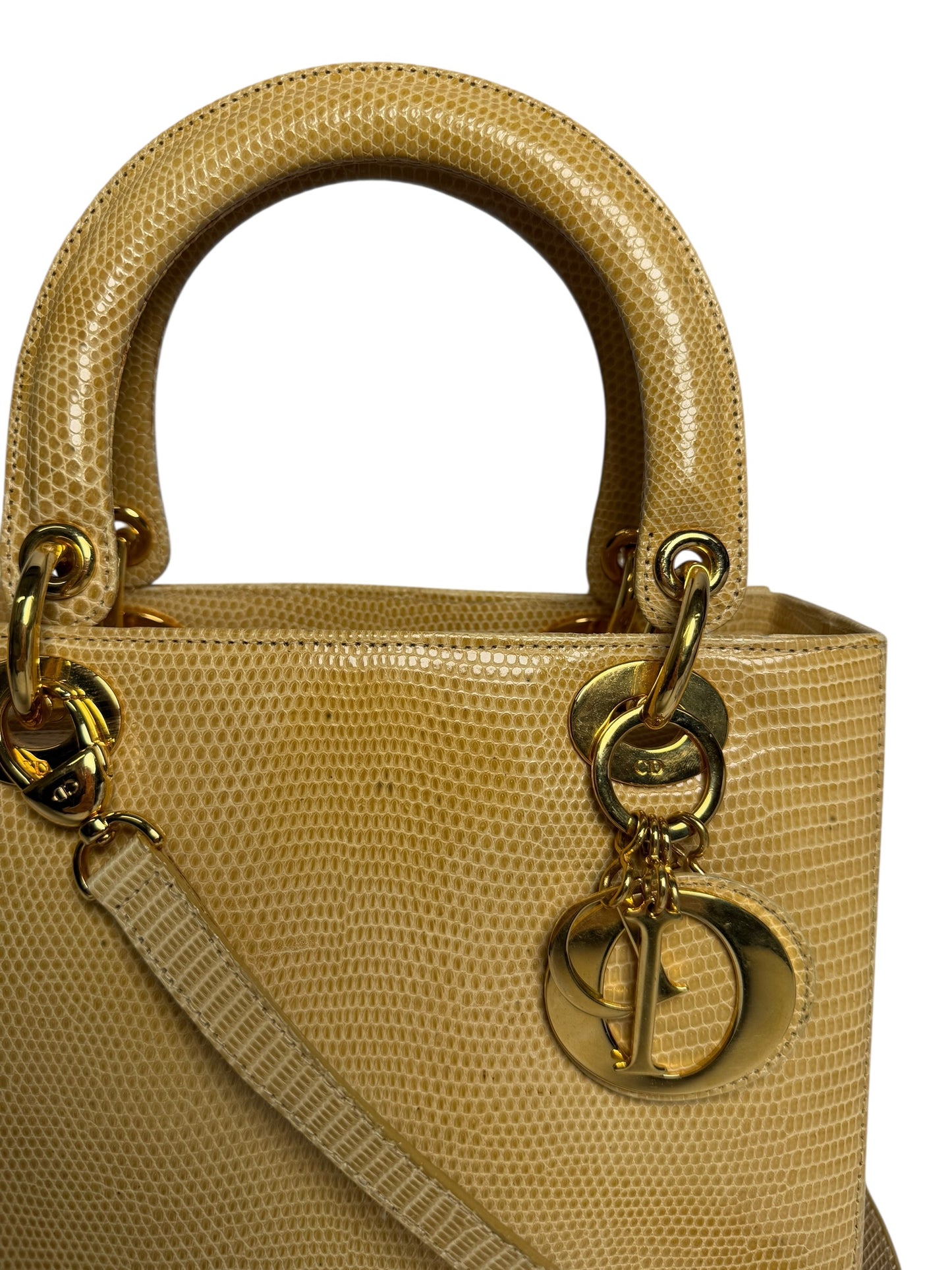 Dior neutral lizard lady dior medium