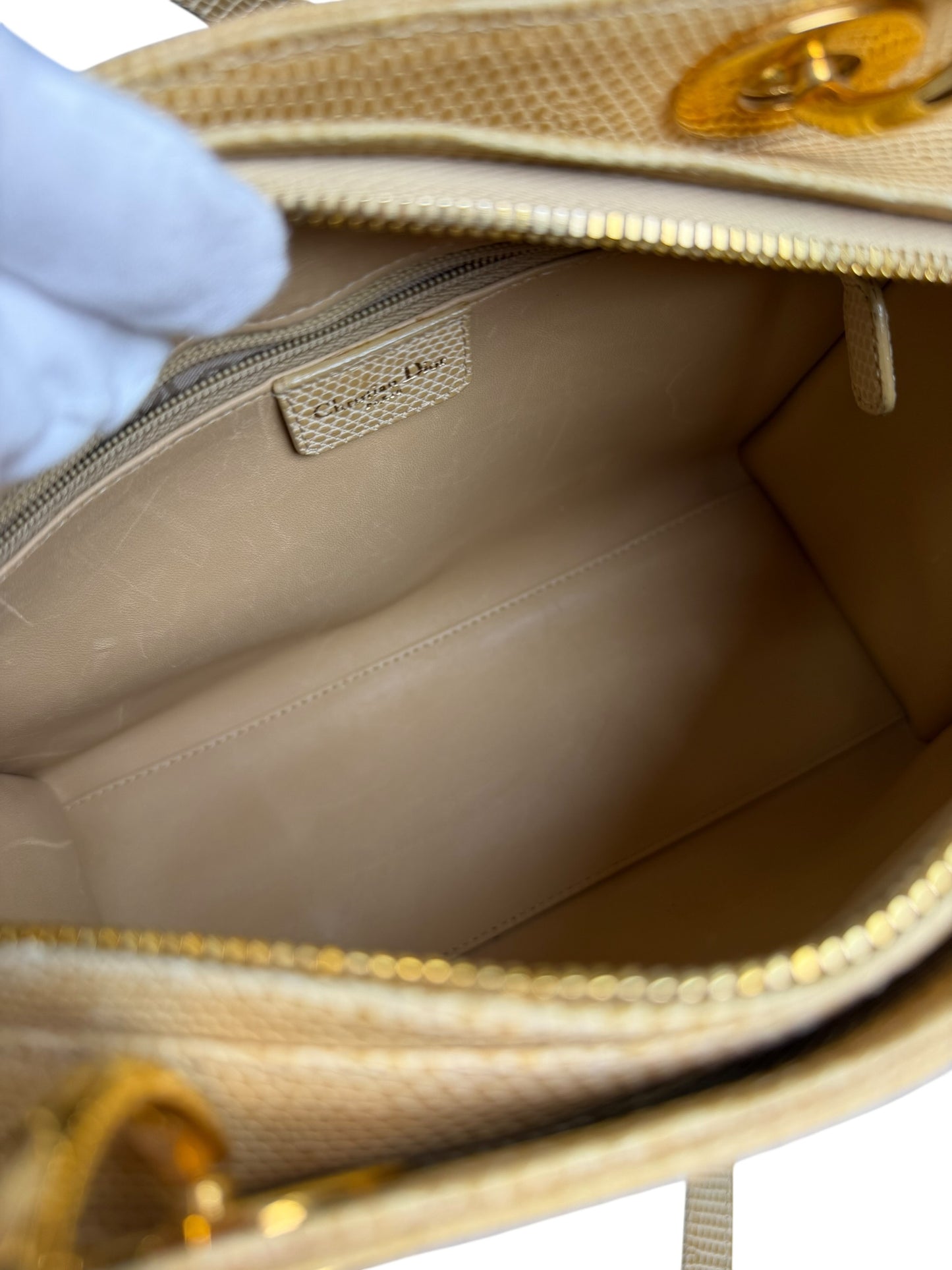 Dior neutral lizard lady dior medium