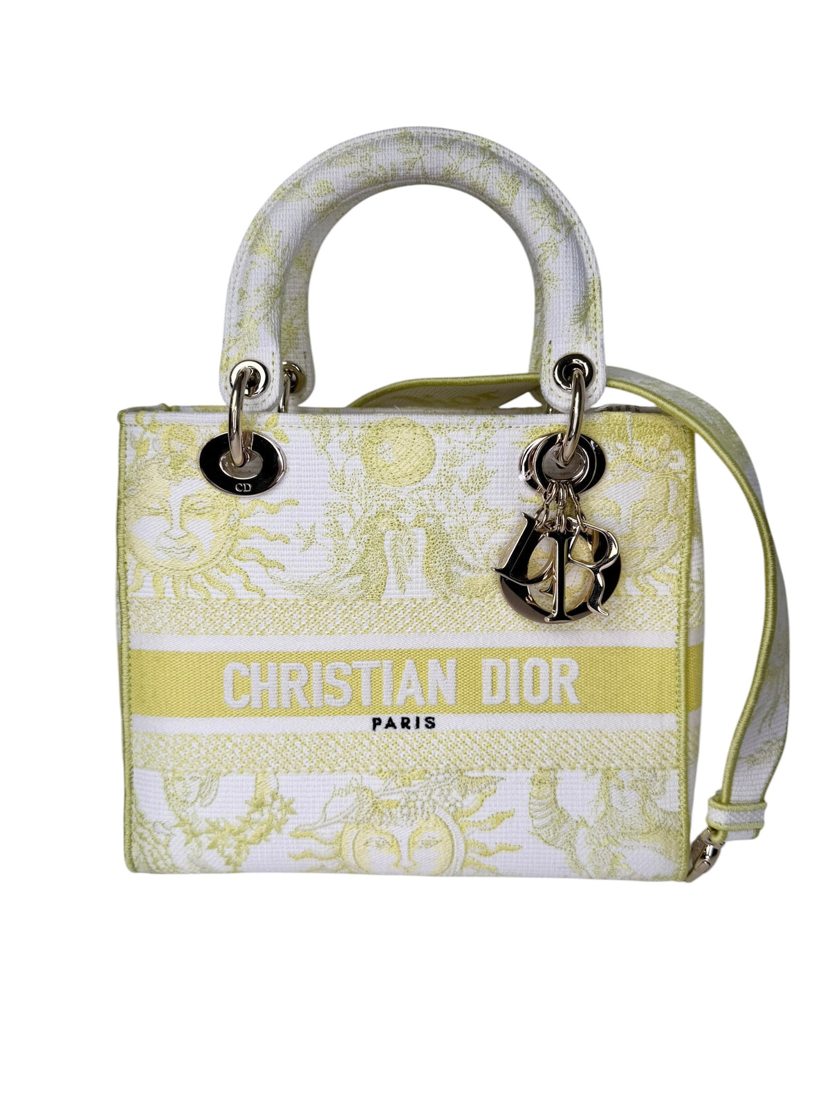 Christian Dior Canvas Dioriviera Lady D-Lite Medium T8375
