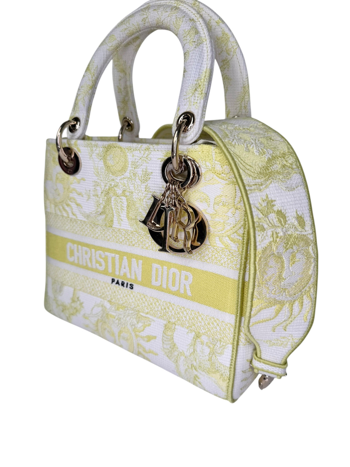 Christian Dior Canvas Dioriviera Lady D-Lite Medium T8375