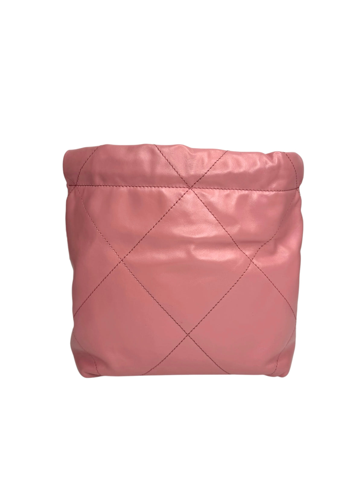 Chanel 22 Mini Pink Hobo Bag T9321