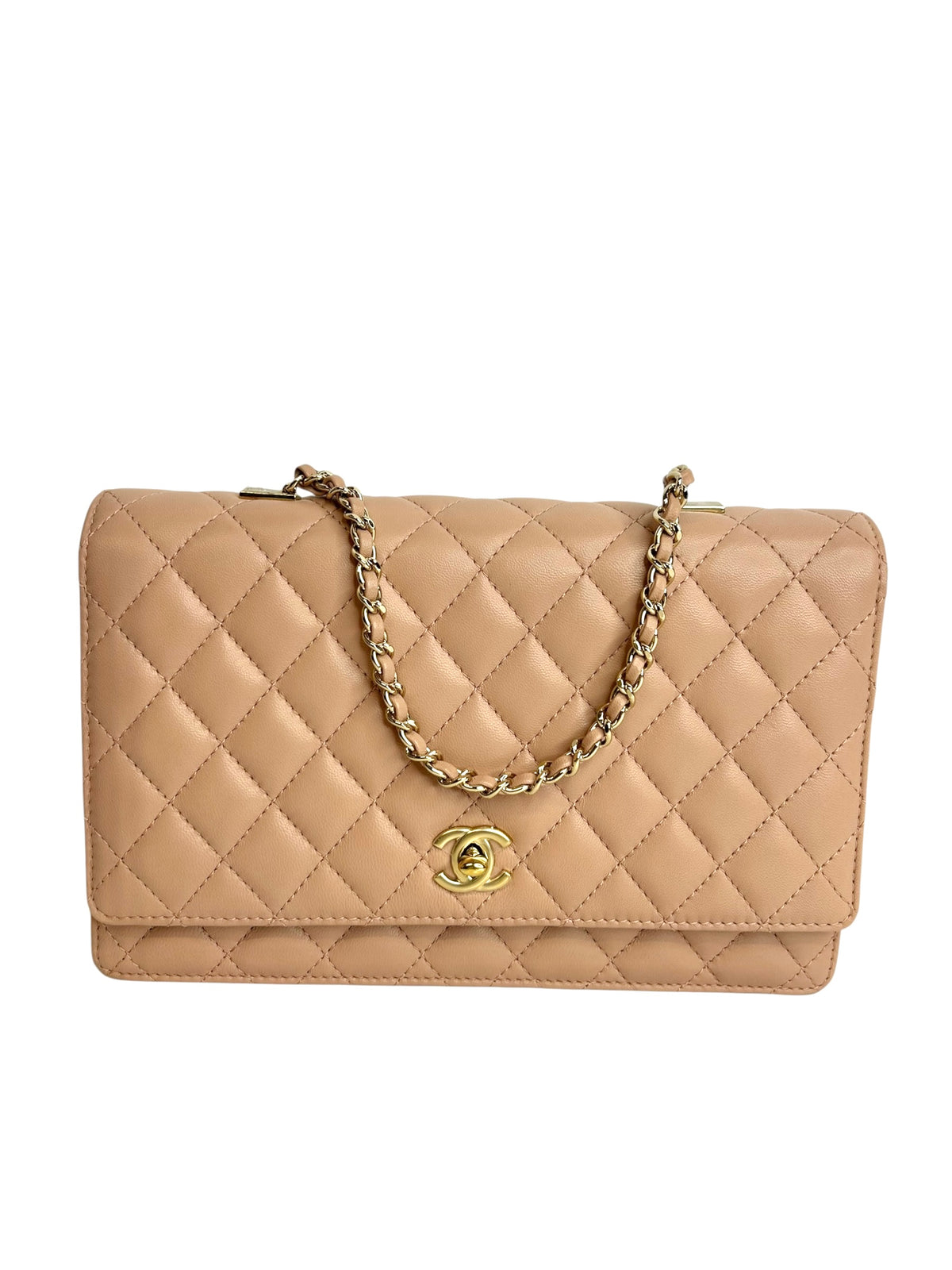 Chanel Fantasy pearl Flap Bag Pink T9999