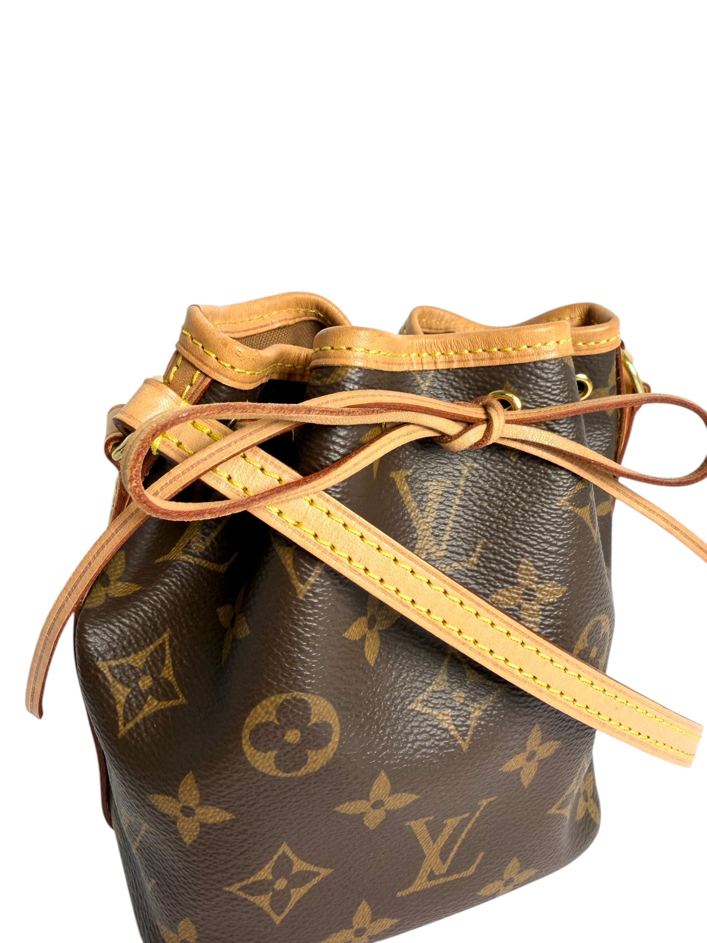 Louis Vuitton Monogram Nano Noe