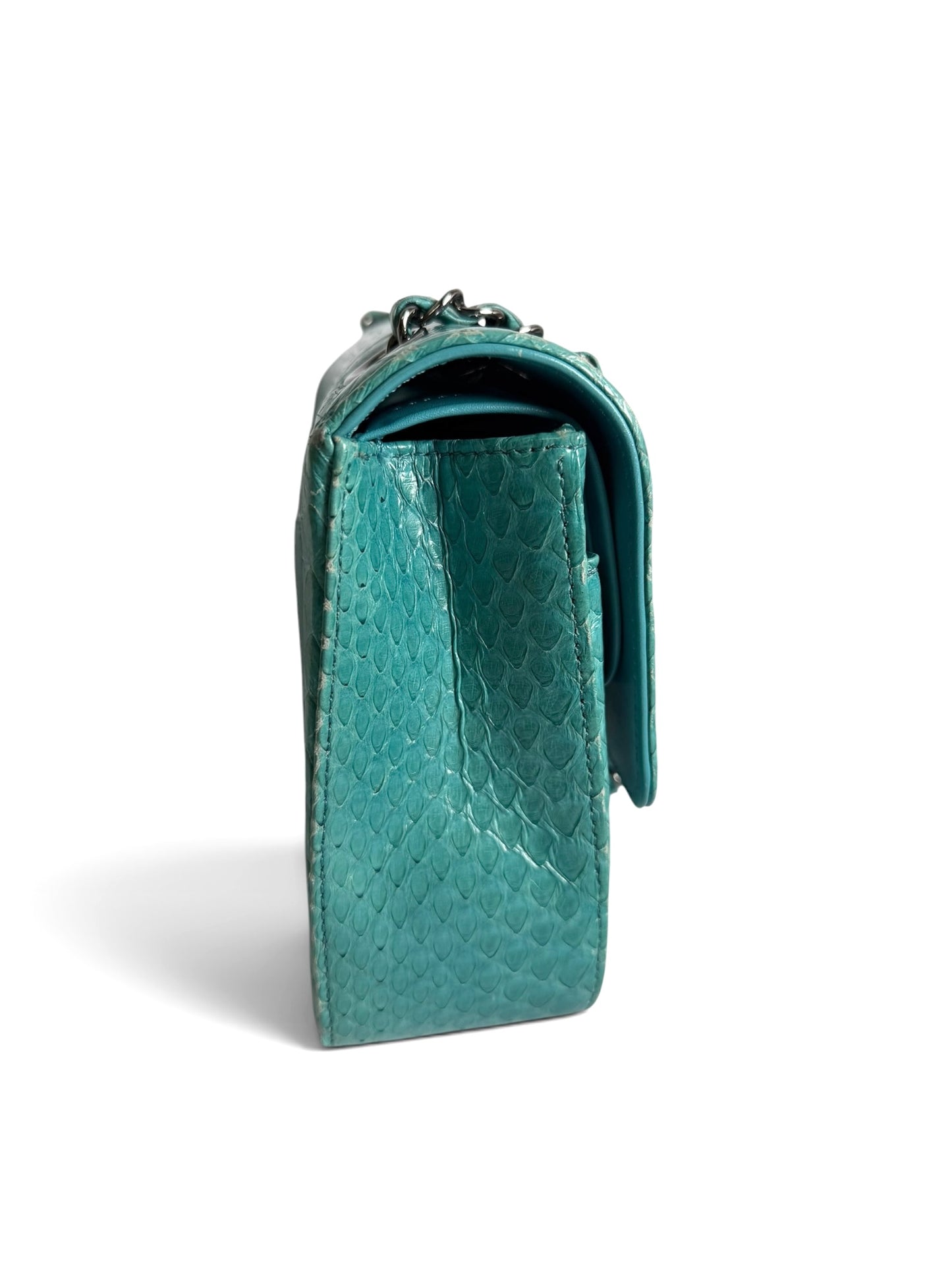 Chanel Blue Python Medium Classic Double Flap DEPOSIT 3 AND 4