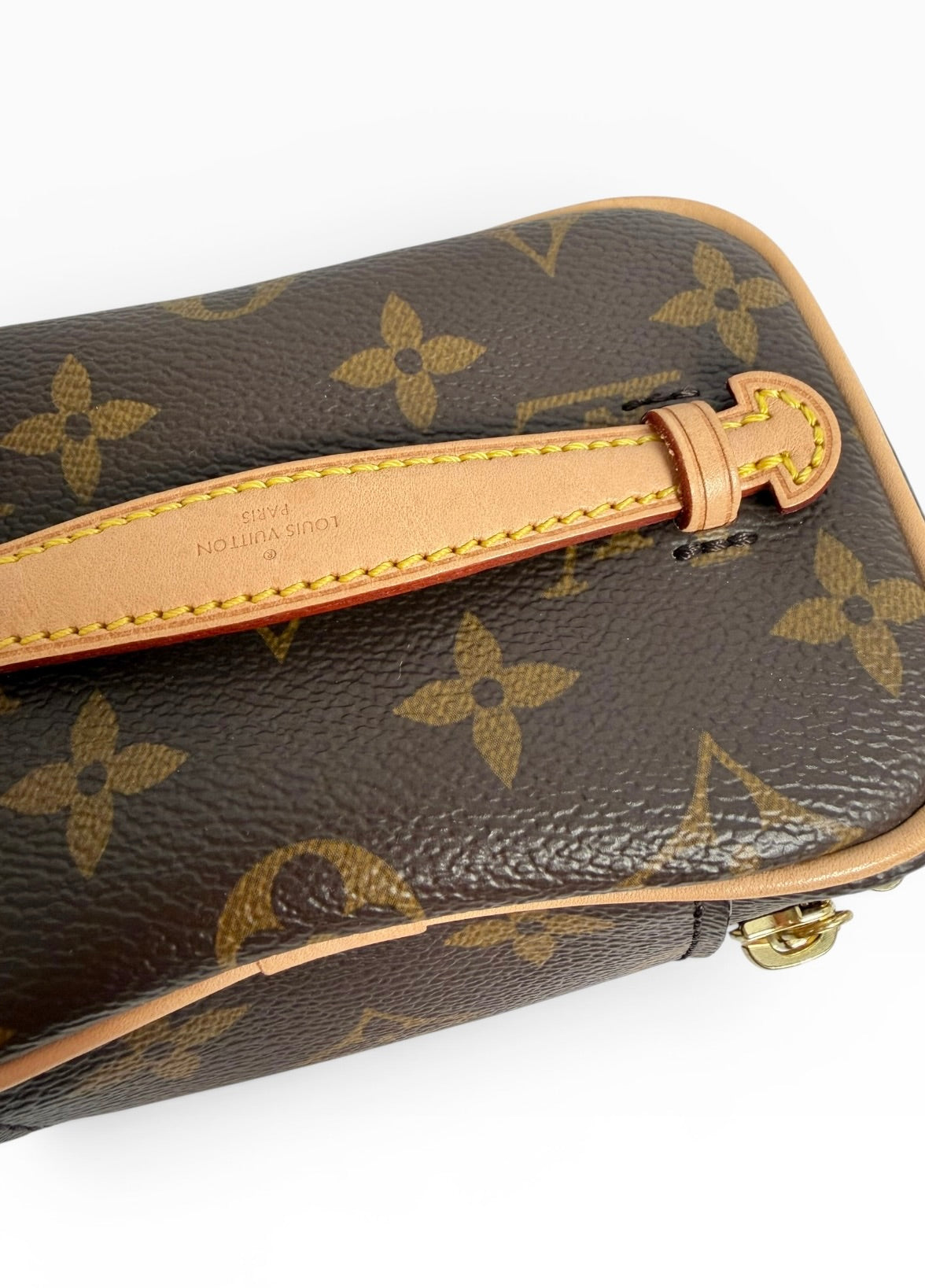 Louis Vuitton Nano Monogram Vanity Case
