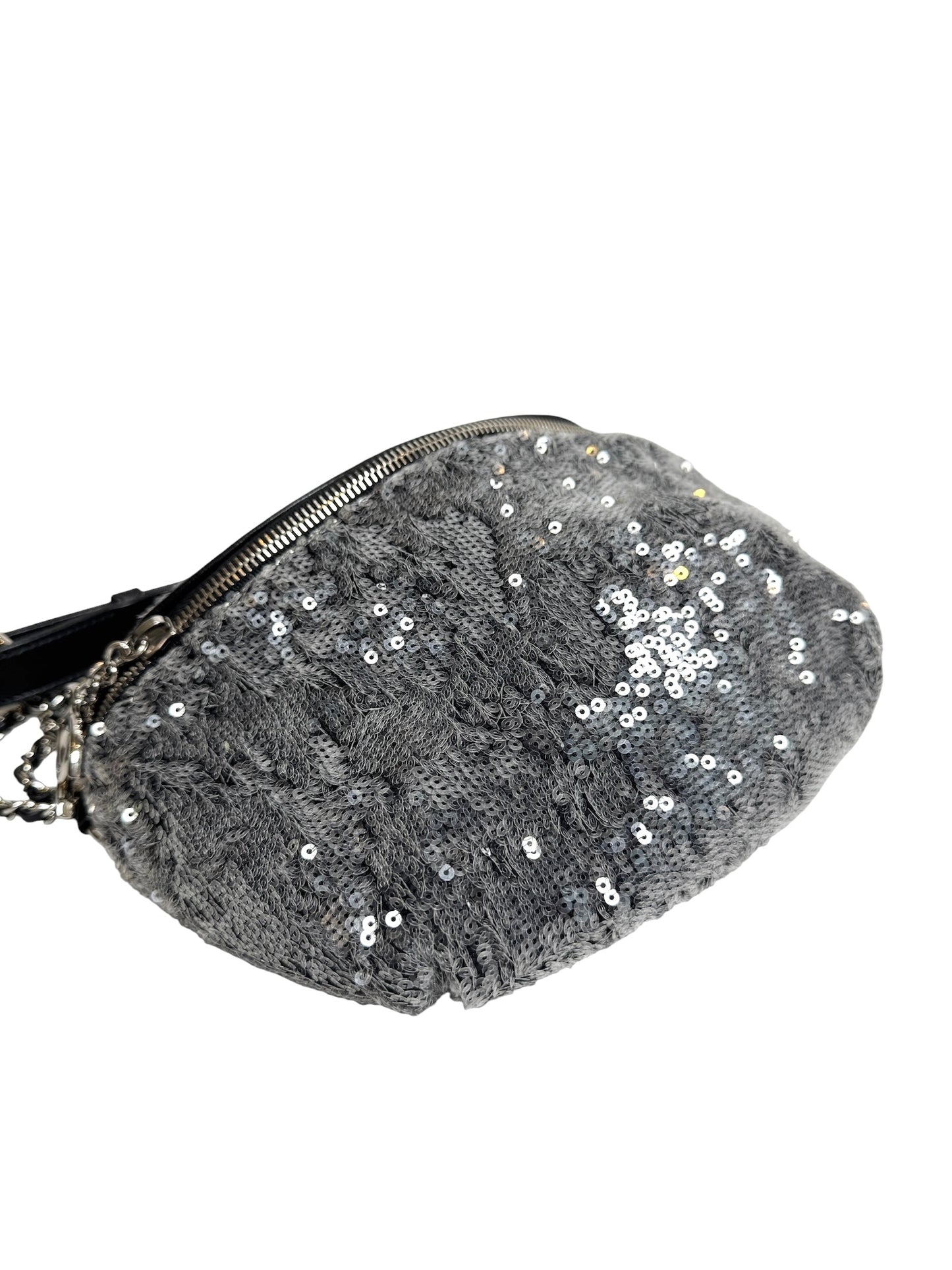 Chanel Sequins Metallic Waist Bag