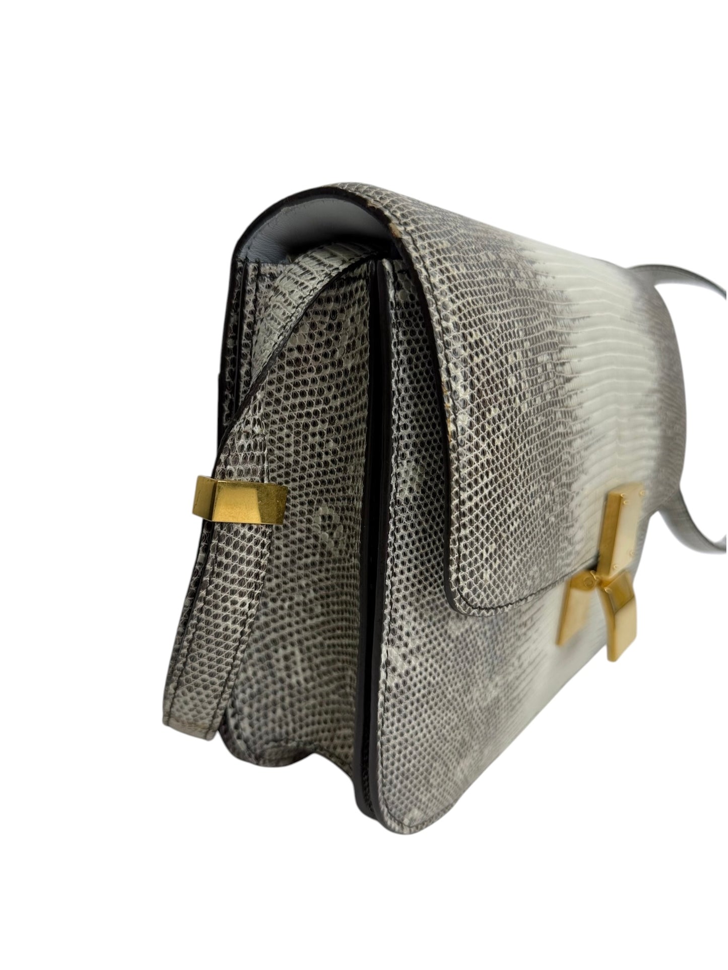 Celine Classic Box Bag Lizard Medium T8810
