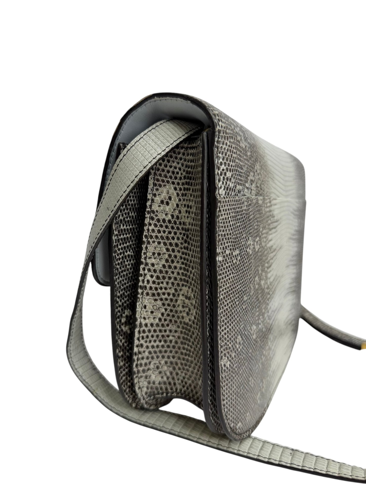 Celine Classic Box Bag Lizard Medium T8810