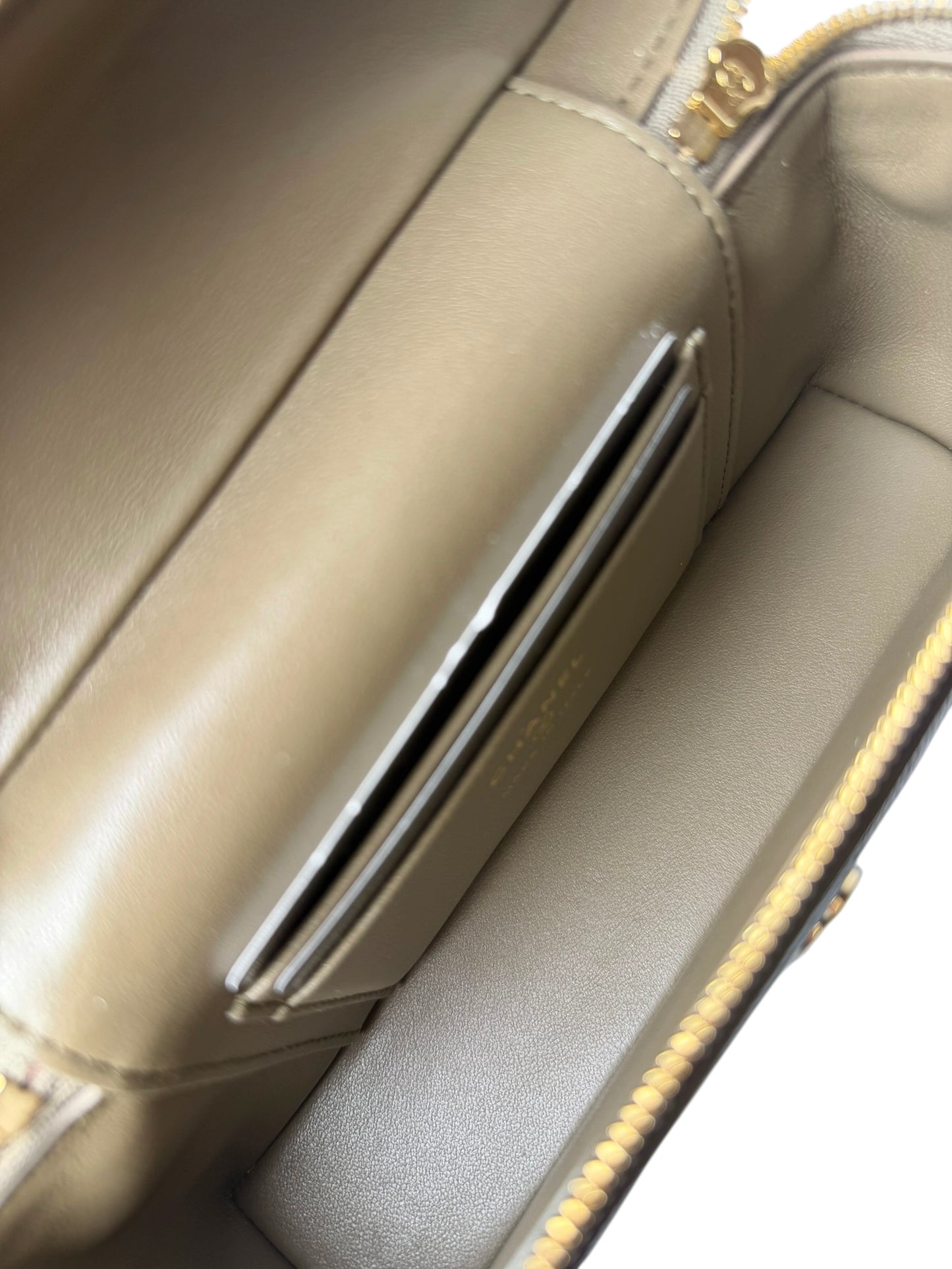 Chanel Dark Beige Lizard Embossed Slim Vanity on Chain