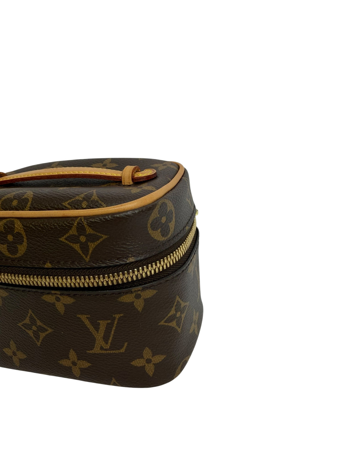 Louis Vuitton Nano Monogram Vanity Case T8881