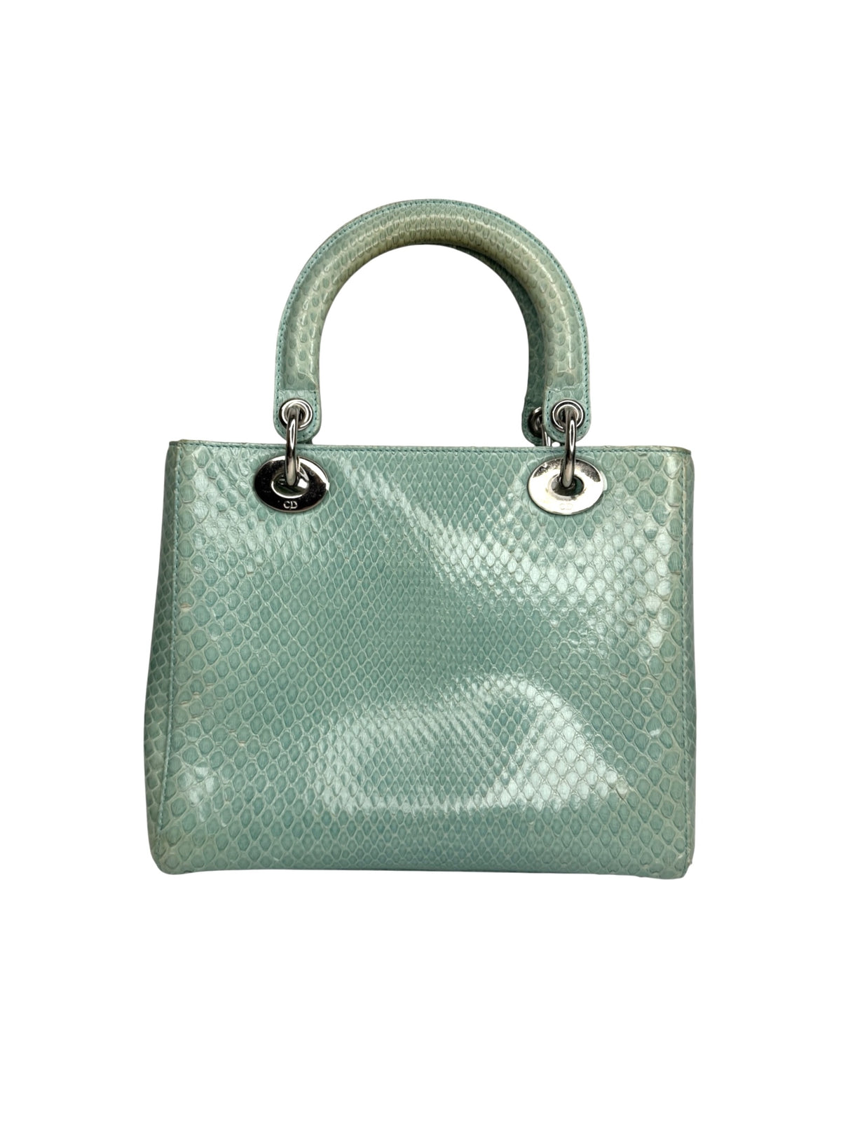 Dior Blue Python Medium Lady Dior SHW T9043