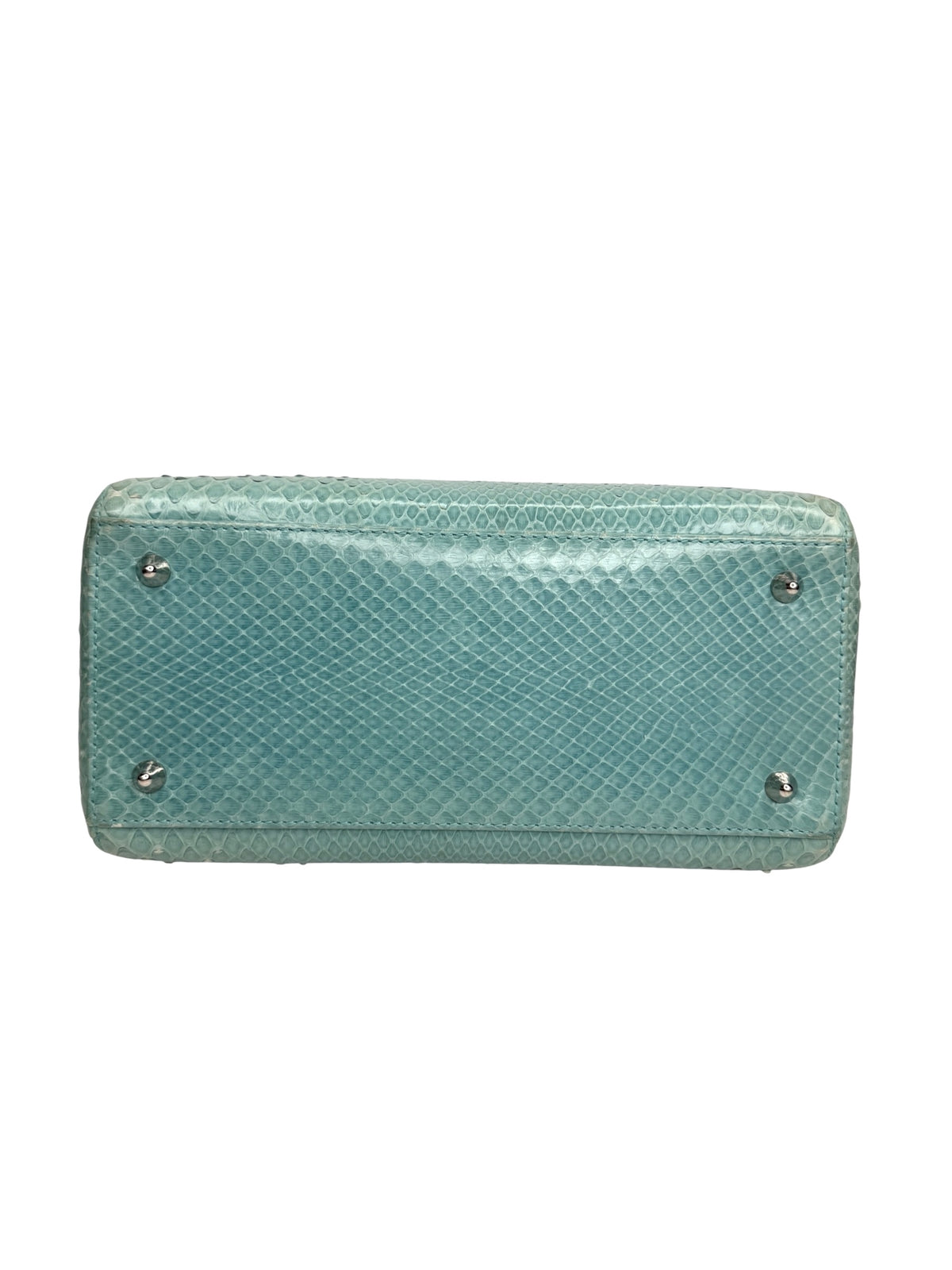Dior Blue Python Medium Lady Dior SHW T9043