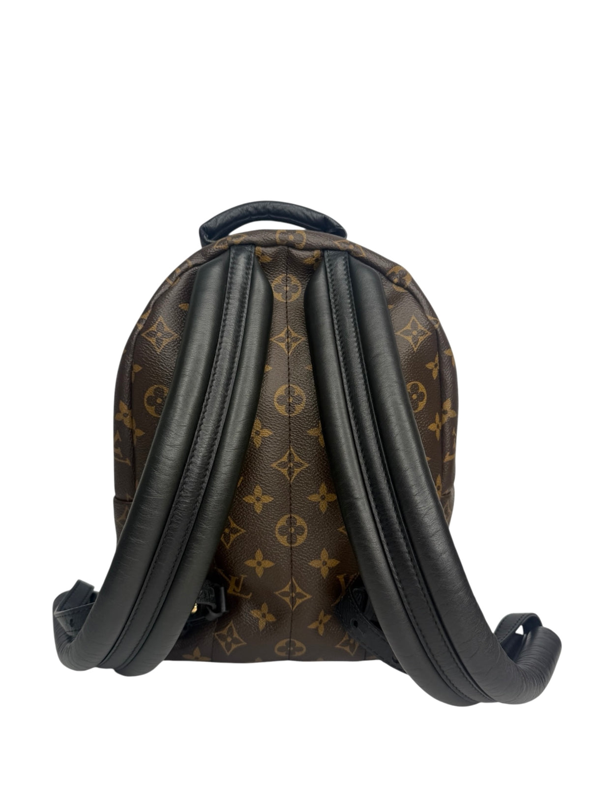 Louis Vuitton Monogram Palm Springs Backpack PM T9075