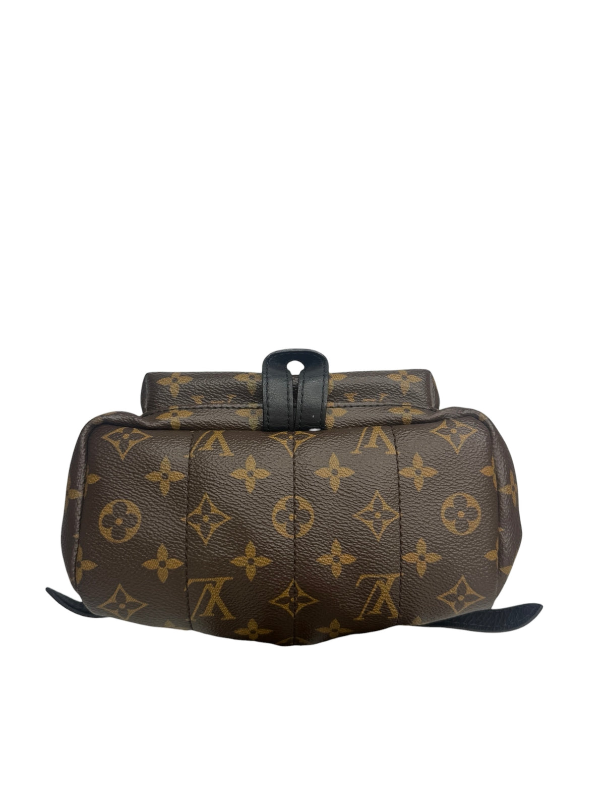 Louis Vuitton Monogram Palm Springs Backpack PM T9075